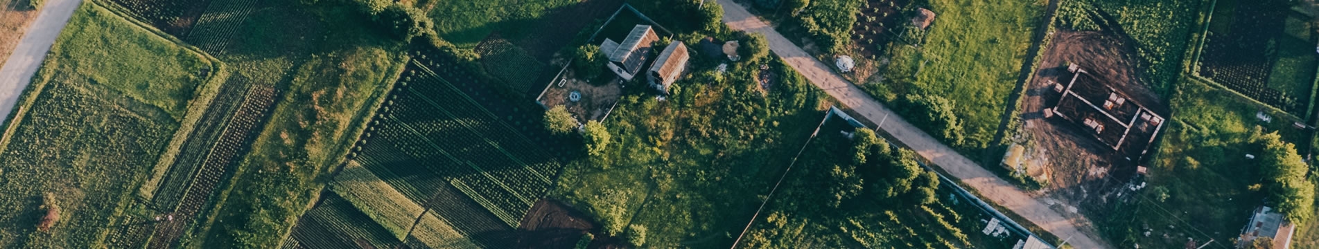 團隊討論土地開發藍圖